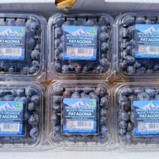 Arándanos Agroecológicos 12 Bandejas x 125 Gr.  (Origen Tucumán)