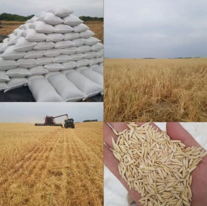 Avena Arrollada Agroecológica  x 5 Kg. ´´Triskel´´ (E9F) - Image 2