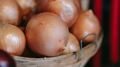 Cebollas Agroecológicas x 16 Kg. - Córdoba - (Variedad: Cobriza)