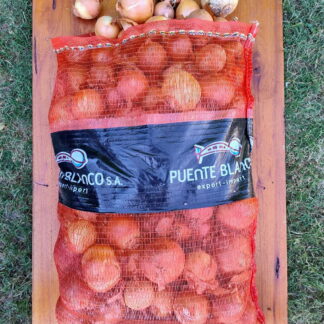 Cebollas Cobriza Orgánicas x 17-18 Kg. - Mendoza - (Variedad: Grano de oro)