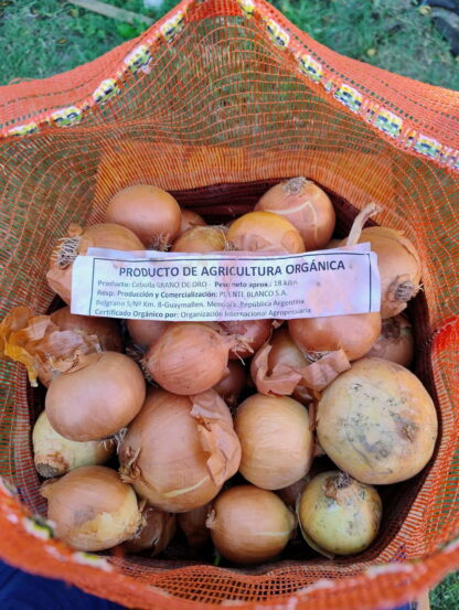 Bolsa de Cebollas Orgánicas x 18 Kg. - Mendoza - (Variedad: Cobriza) (236) - Image 2
