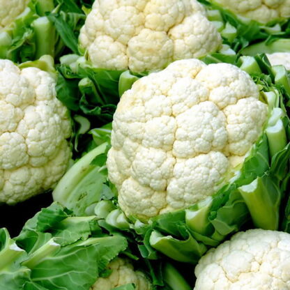 Coliflor Agroecológico x 3 Unidades. Producción YUYUPA