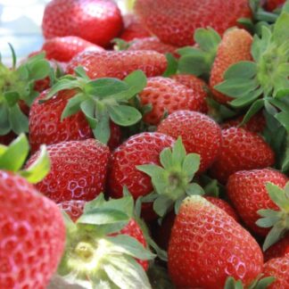 Caja de Frutillas Agroecológicas x 4.5/5 Kg. (Origen: Tucumán)