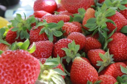 Caja de Frutillas Agroecológicas x 4.5/5 kg  Kg. - Tucuman