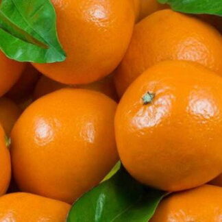 Mandarinas Agroecologicas x 15 Kg. (Variedad: Dancy)