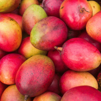 Mango Agroecológicos x 9 Kg. (Variedad: Tommy, Origen; Tucumán)