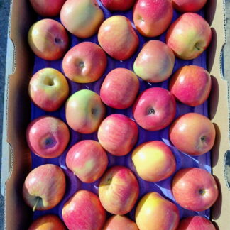 Manzanas Rojas Orgánicas x 17/18 Kg. (Variedad: Fuji - Origen: Río Negro)
