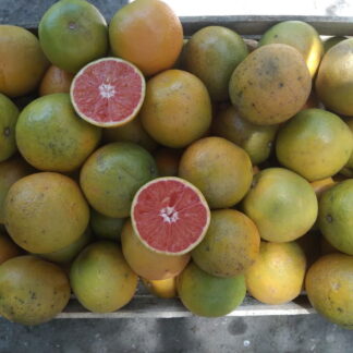 Naranjas Agroecológicas x 15 Kg. (Variedad: Sanguinea)