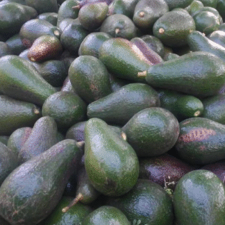 Cajón de Paltas Agroecológicas x 5.5 Kg. (Variedad: Torre - Origen: Tucumán)