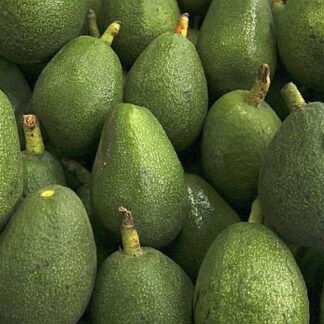 Paltas Agroecológicas x 4,5/5 Kg. (Variedad: Silvestre, Origen: Tucumán)