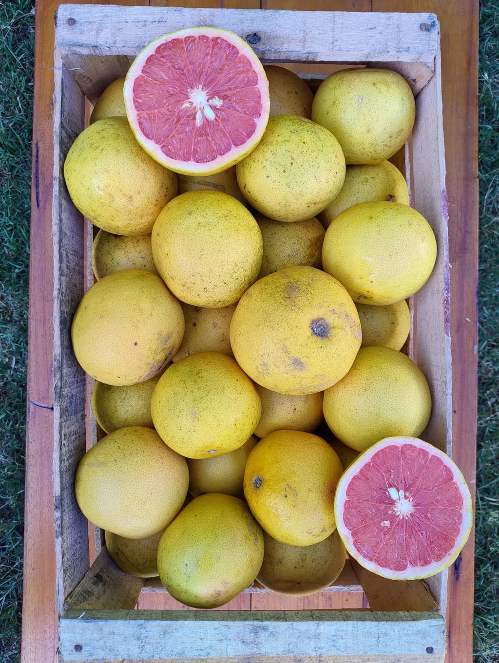 Pomelos Agroecológicos x 13 Kg. (Variedad: Rojo - Origen: Entre Rios)