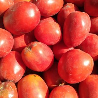 Tomates Maduros, Bien rojos PARA SALSA Agroecológicos x 10 Kg. (Variedad: Perita - Origen: Cruz del Eje)