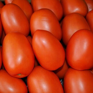 Tomates Agroecológicos x 15 Kg. (Variedad: Perita - Origen: Cruz del Eje)