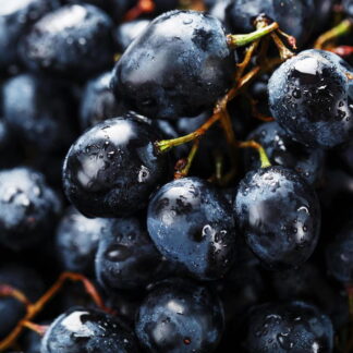 Uvas Agroecológicas x 12 Kg. (Variedad: Cereza, negras)