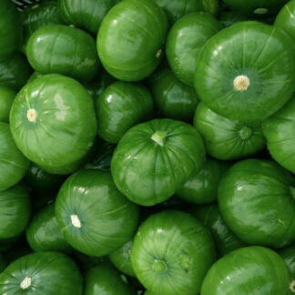 Zapallitos Verdes Orgánicos x 14 Kg (Origen; Jujuy)
