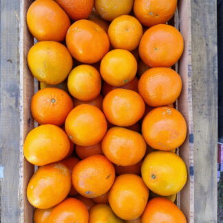 Mandarinas Orgánicas x 15 Kg. (Variedad: Nova)