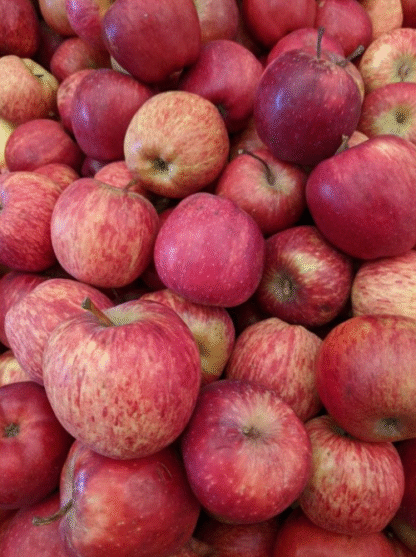 Manzanas Rojas Orgánicas x 14/15 Kg. (Variedad: Red Delicious - Origen: Rio Negro)