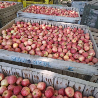 Manzanas Rojas Orgánicas x 17/18 Kg. (Variedad: Gala - Origen: Río Negro)
