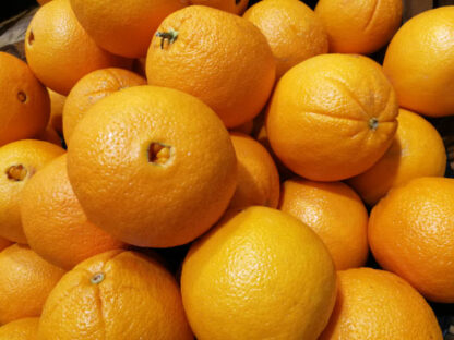 Naranjas de Ombligo Orgánicas x 15 Kg. - Entre Rios (Variedad: Ombligo) - Image 3