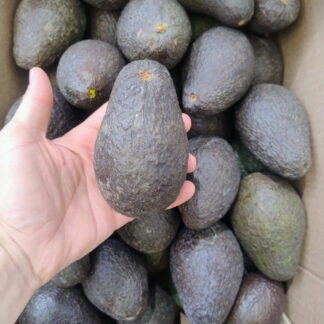 Paltas Agroecológicas x 5 Kg. (Variedad: Hass, Tucumán) Oferta PALTA MADURA LISTA PARA CONSUMIR