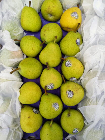 Peras Orgánicas Alexandre Lucas 15 Kg (Rio Negro, Neuquén)