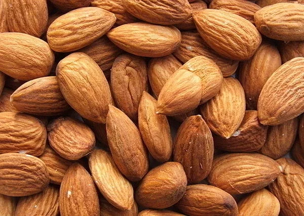 Almendras Naturales Agroecológicas x 500 gr - Imagen 2