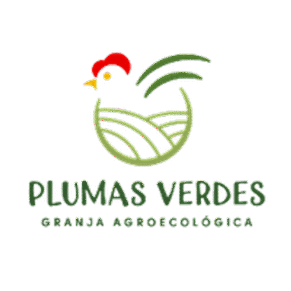 Hamburguesas de Alita de Pollo de Pastura x 4 Unidades ''Plumas Verdes'' - Image 3
