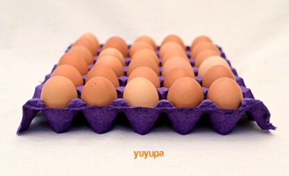 Huevos de Granja Agroecológica x 10 Maples ´´Plumas Verdes´´