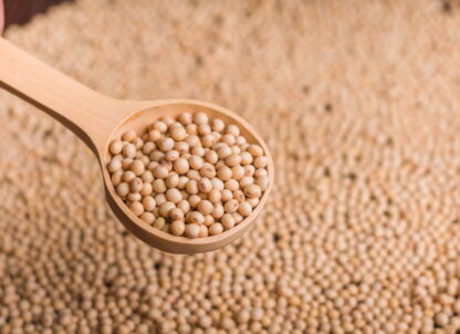 Porotos Agroecológicos x 25 Kg. (Variedad: Soja) (5D2)