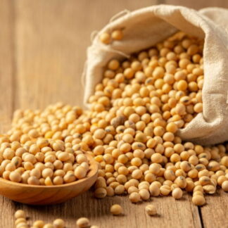 Porotos Agroecológicos x 5 Kg. (Variedad: Soja) (8EE)