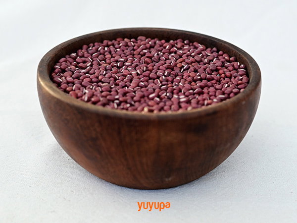 Porotos Orgánicos x 5 Kg. Salve la Tierra (Variedad: Aduky)