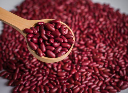 Porotos Orgánicos x 5 Kg. ''Salve la Tierra'' (Variedad: Colorados) (90C)
