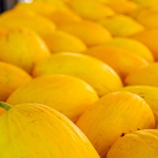 Melón Agroecológico por 6 kg (Variedad: Filadelfia Amarillo, producción Yuyupera, aproximadamente 5-6 unidades)