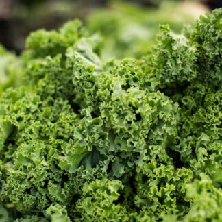 Kale Agroecológico x 3 Unidades (bolsita de 300gr aprox)