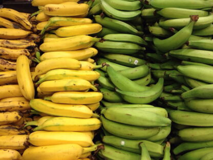 Bananas Organicas x 8 Kg. (Variedad: Cavendish, Jujuy)