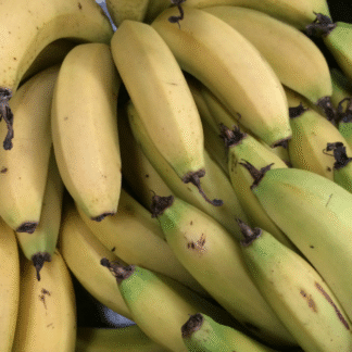 Bananas Organicas x 8 Kg. (Variedad: Cavendish, Jujuy)