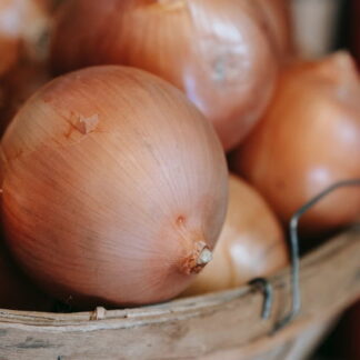 Cebollas Cobrizas Orgánicas x 9 Kg. - Mendoza - (Variedad: Grano de Oro)