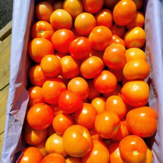 Cajón de Tomates Organico x 15 Kg. (Variedad: Redondo - Origen: Jujuy)