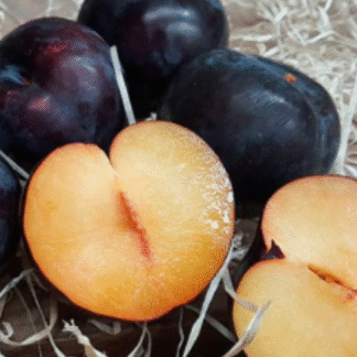 Ciruelas Agroecológicas variedad Black Amber x 5 Kg, (Origen, Mendoza)