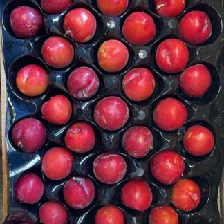 Ciruelas Agroecológicas variedad Royal See x 5 Kg, (Origen, Mendoza)