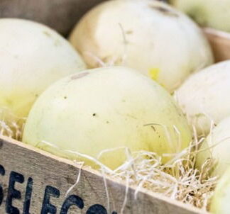 Melón Agroecológico x 10 Kg (Variedad: Rocio de Miel - Origen: Cruz del Eje)