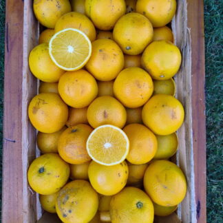 Naranjas Organicas x 8 Kg (Variedad: Salustiana para Jugo - Origen: Entre Ríos)