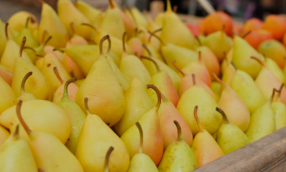 Peras Orgánicas x 9 Kg. (Variedad: Williams, Río Negro-Neuquén)
