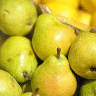 Peras Orgánicas x 9 Kg. (Variedad: Williams, Río Negro-Neuquén)