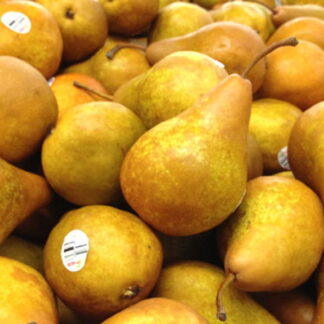 Peras Orgánicas x 9 Kg. (Variedad: Golden Bosc, Río Negro-Neuquén)