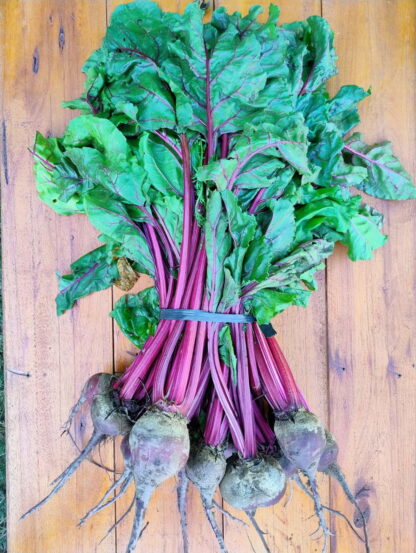 Atado de Remolacha Agroecológica, peso aprox 2-2,5 kg (Con Hojas, Cordoba)