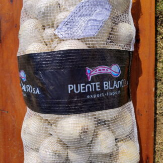 Bolsa de Cebollas Orgánicas x 9 Kg. - Mendoza - (Variedad: Blanca)