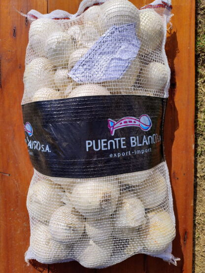 Bolsa de Cebollas Orgánicas x 9 Kg. - Mendoza - (Variedad: Blanca)