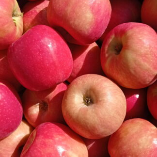 Manzanas Cripps Pink, Rojas Orgánicas x 9 Kg. (Variedad: Cripps Pink)