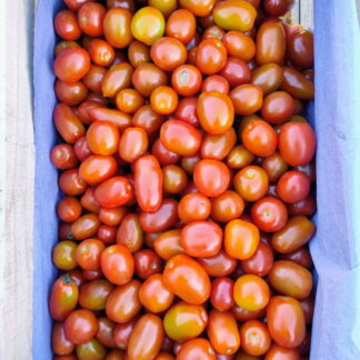 Cajón de Tomates Cherry Orgánico x 9 Kg. (Variedad: Cherry - Origen: Jujuy)